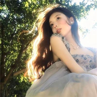 西环的故事
